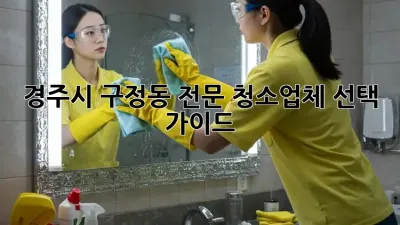 경주시 구정동 전문 청소업체 선택 가이드