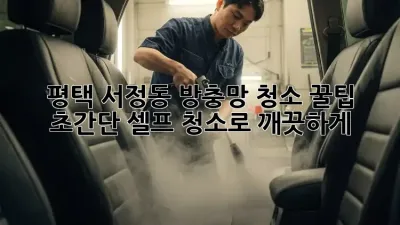 평택 서정동 방충망 청소 꿀팁🍯: 초간단 셀프 청소로 깨끗하게!